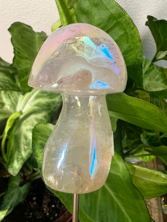 Angel Aura Mushroom Plant Crystal