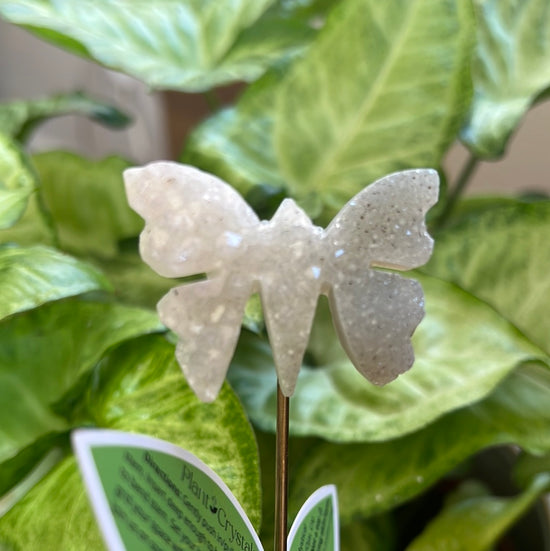 Butterfly Plant Crystal