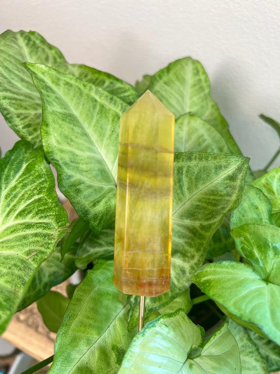 Yellow Fluorite