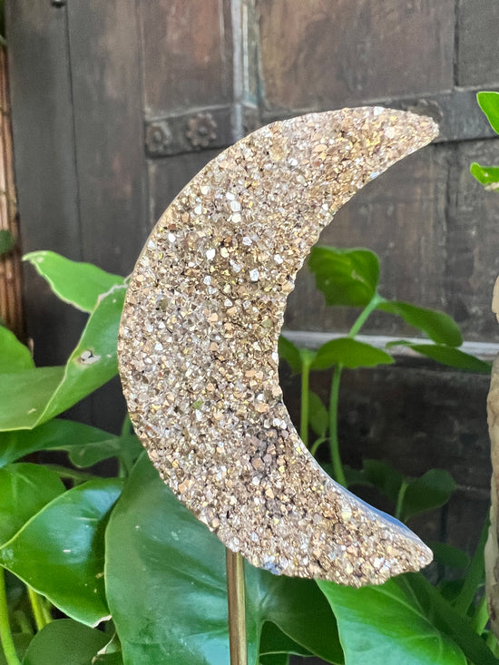 Gold Goddess Druzy Moon Plant Crystal