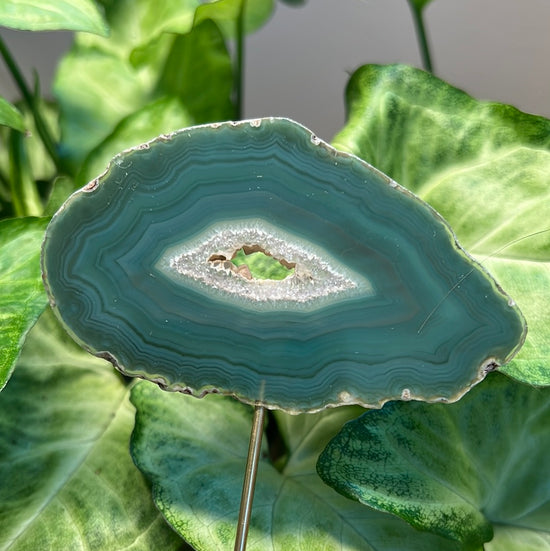 8/3 Green Agate Plant Crystal