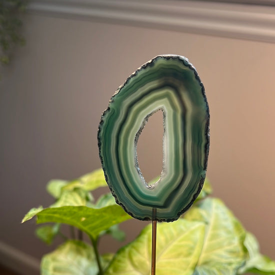 8/10 Green Agate Plant Crystal