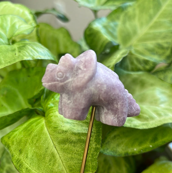 *Dinosaur Lepidolite Plant Crystal