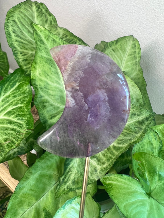 Rainbow Fluorite Moon Plant Crystal