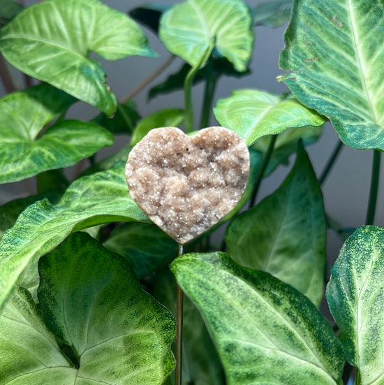 8/6 Druzy Heart Plant Crystal