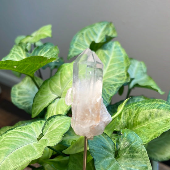 8/10 hint of pink Quartz Plant Crystal