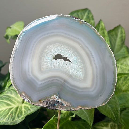 Agate Plant Crystal