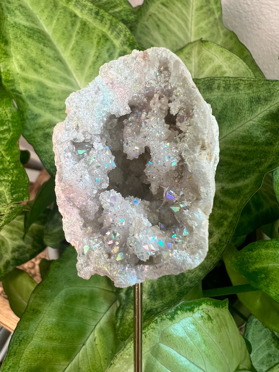 7/16 Angel Aura Geode Plant Crystal