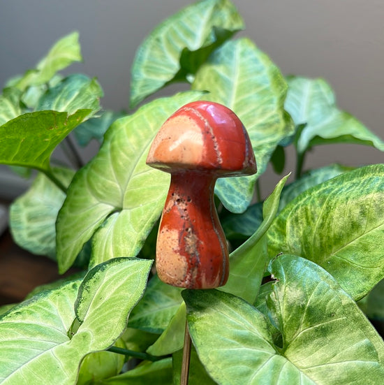 Red Jasper Mushroom Plant Crystal