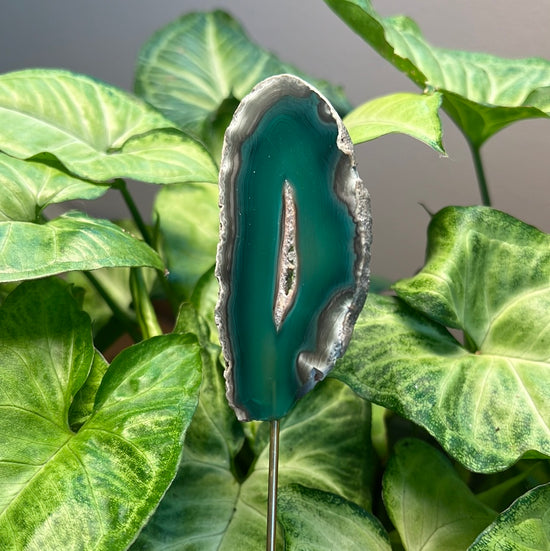 8/3 Green Agate Plant Crystal