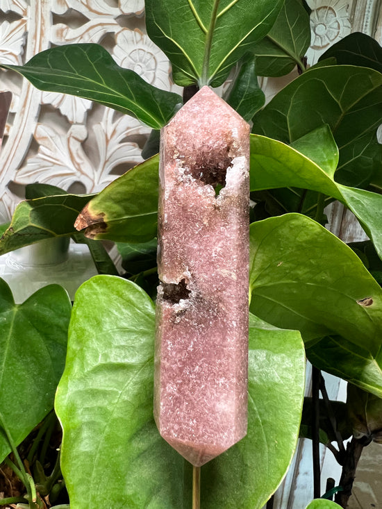 Pink Amethyst Druzy Portal Plant Crystal