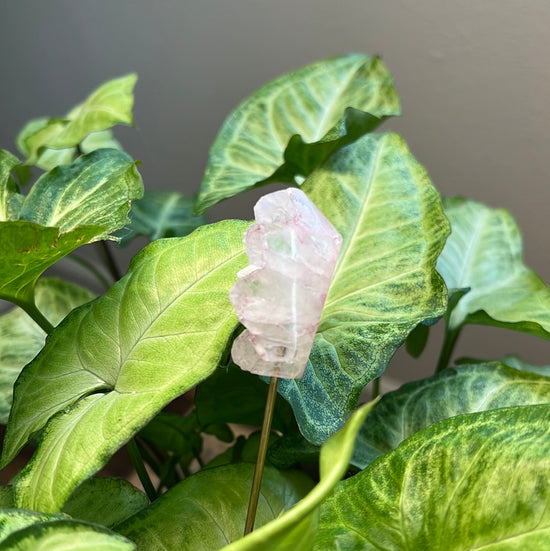 8/10 Pink Geode Tower Plant Crystal