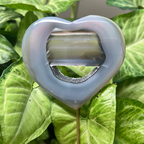 Agate Heart Plant Crystal