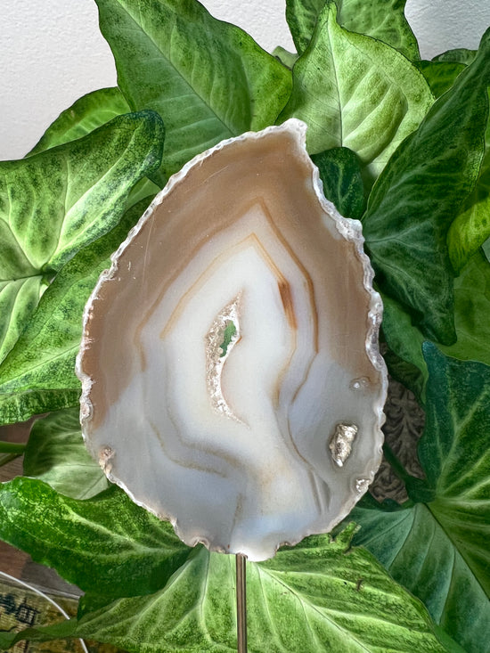 7/9 ET Agate Plant Crystal