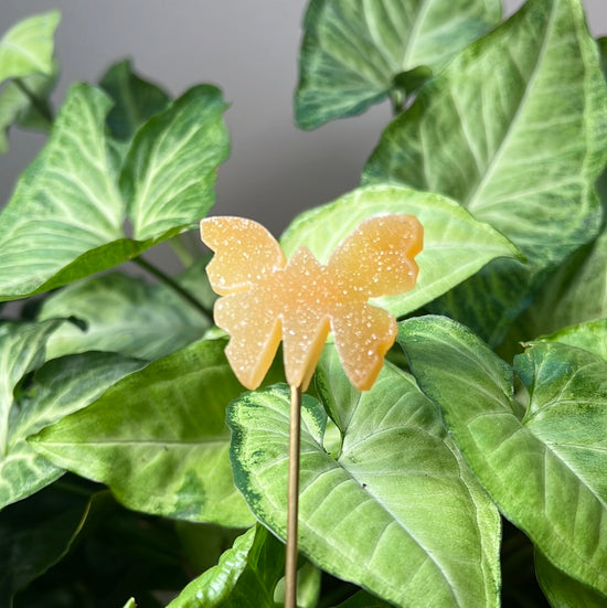 Drusy Butterfly Plant Crystal