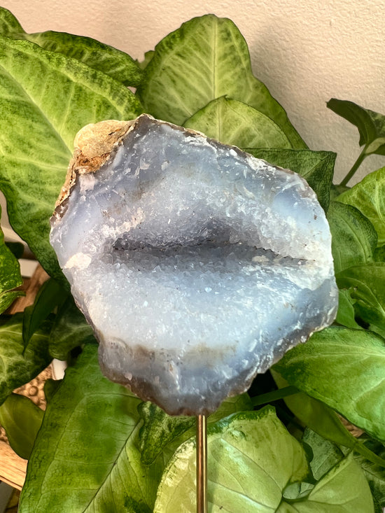 7/16 Blue Chalcedony Plant Crystal