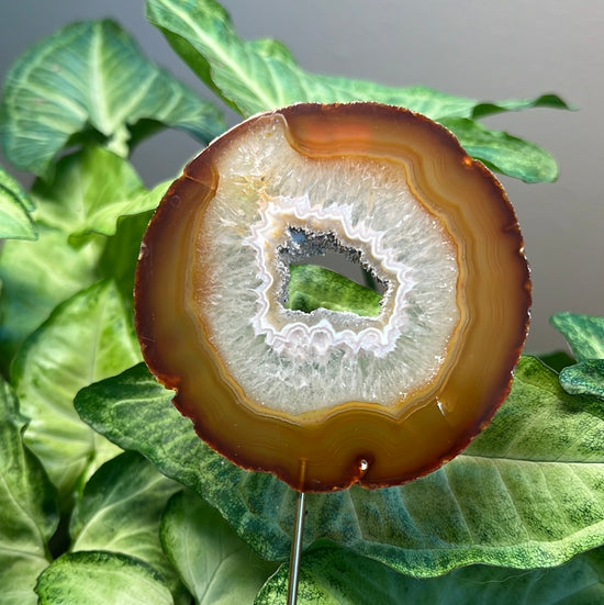 8/3 Natural Agate Plant Crystal