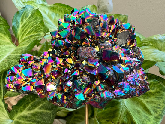 7/12 Rainbow Titanium cluster Plant Crystal