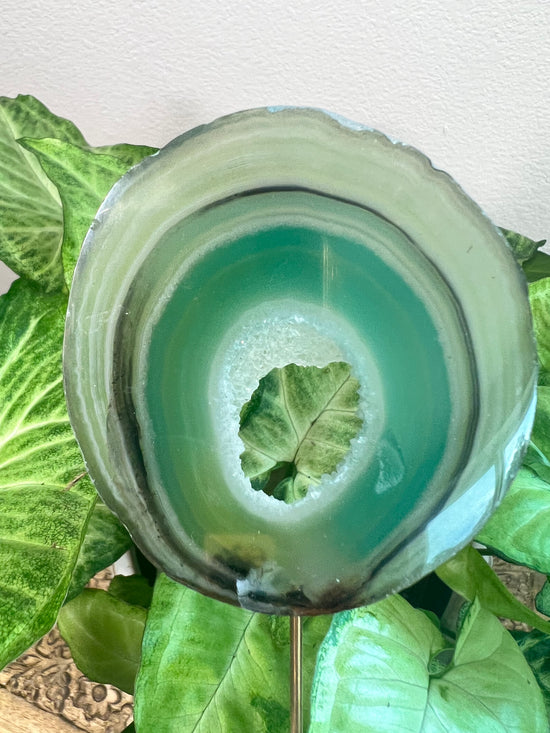 7/16 Green Agate Plant Crystal