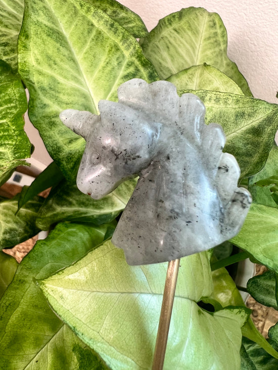 7/16 Labradorite Unicorn Plant Crystal