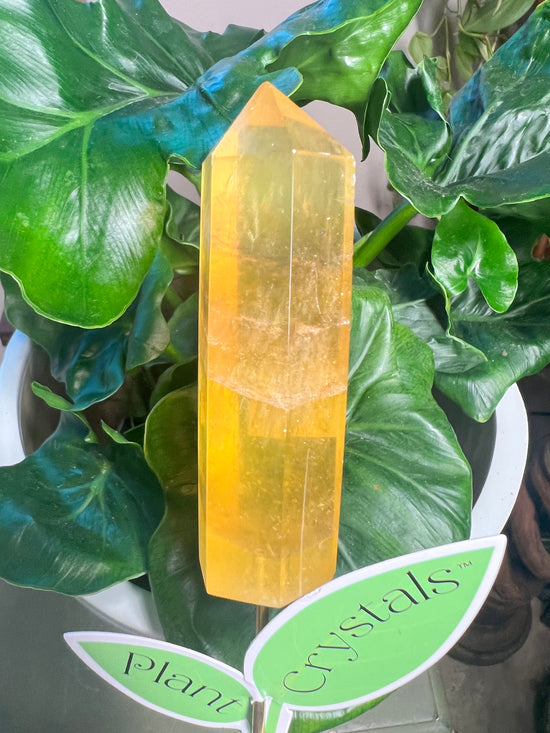 Yellow Fluorite Tower Plant Crystal