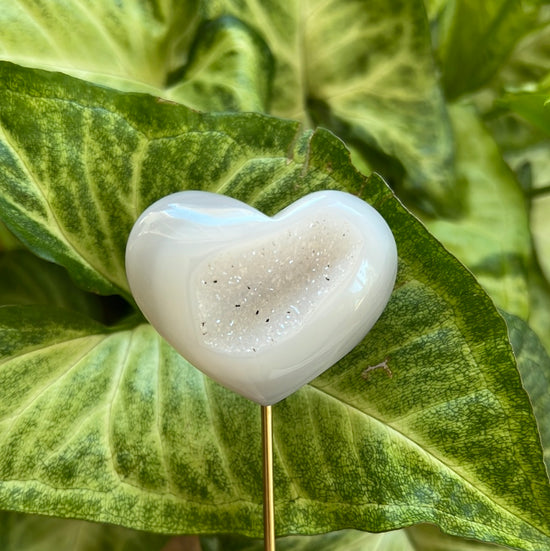 Heart Druzy Plant Crystal