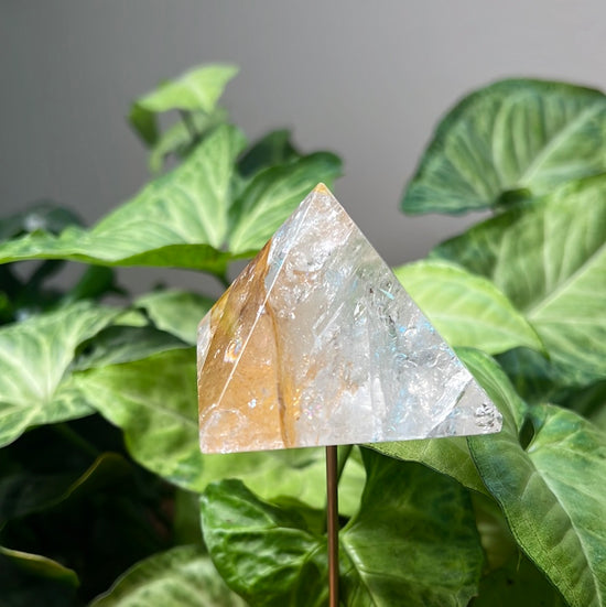 7/30 Golden Healer Pyramid Plant Crystal