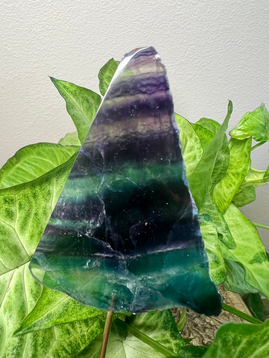 7/9 Rainbow Fluorite Plant Crystal