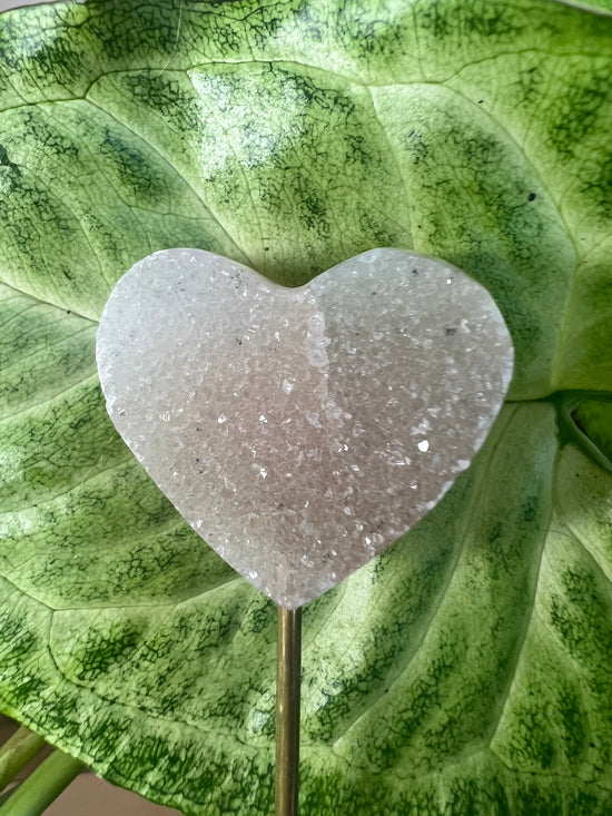 7/9 Heart Plant Crystal