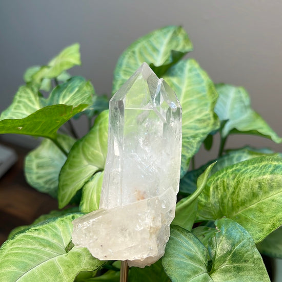 8/10 Quartz Plant Crystal