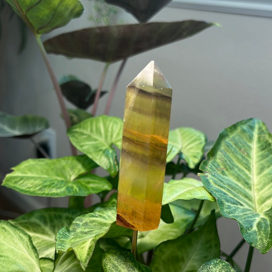 8/6 Yellow Fluorite Tower Plant Crystal