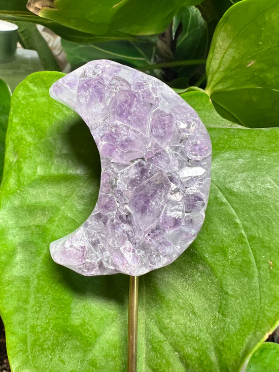 Chunky Amethyst Moon Plant Crystal