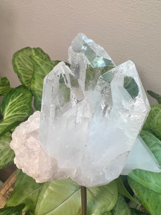 Large Clear Quartz Mega Cluster Plant Crystal