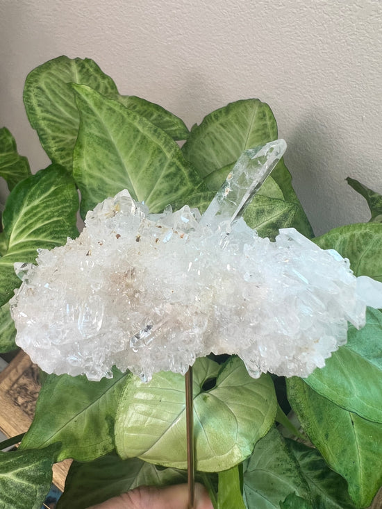 7/16 Quartz Cluster Plant Crystal