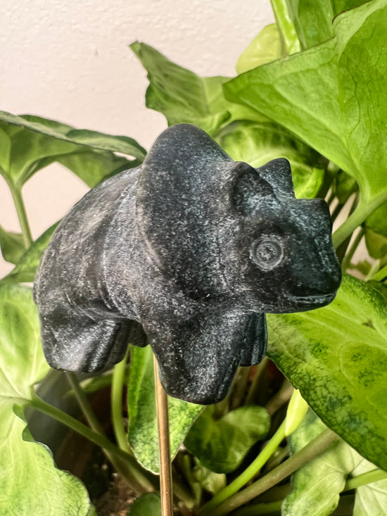 7/9 Black Obsidian Dinosaur Plant Crystal