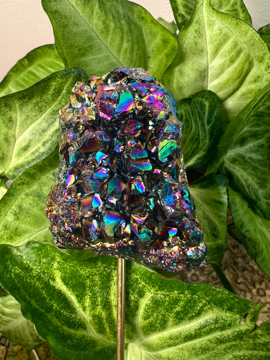 7/9 Rainbow Titanium Cluster Plant Crystal