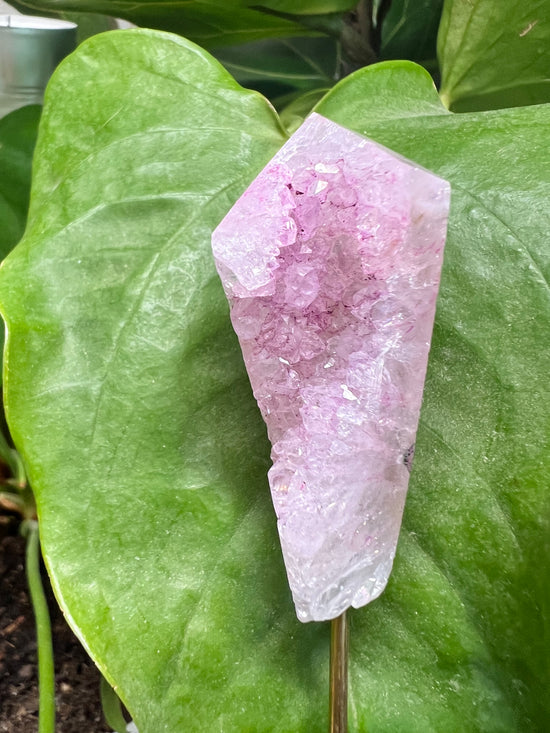 Agate Druzy Plant Crystal