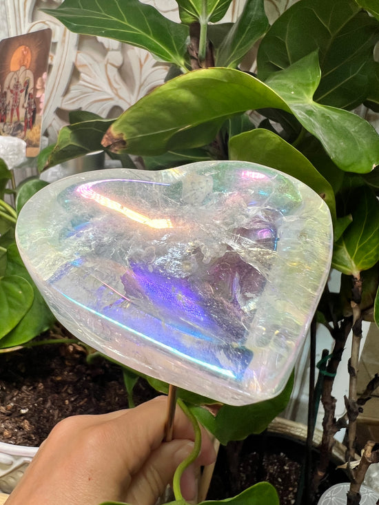 Angel Aura Large Heart Plant Crystal Altar