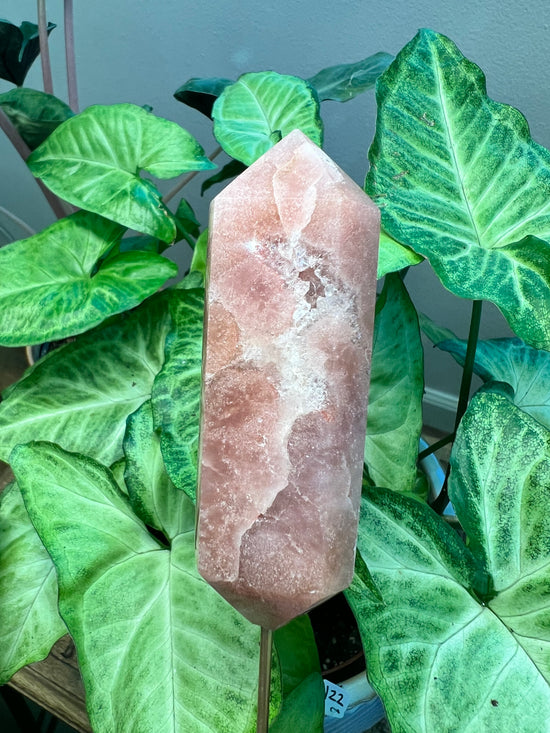 8/6 Pink Amethyst DT Plant Crystal