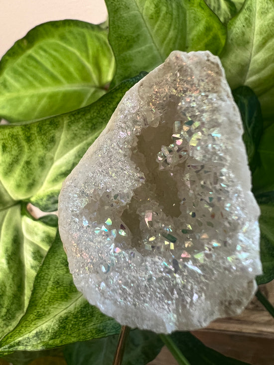 7/9 Angel Aura Geode Plant Crystal