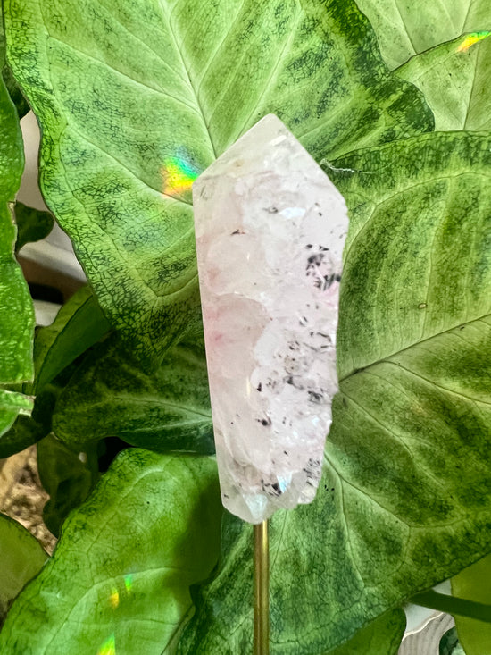 7/18 Pink Agate Point Plant Crystal