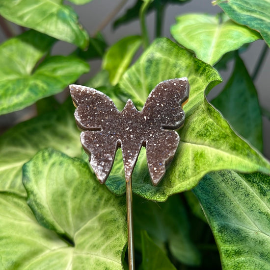 Butterfly Plant Crystal