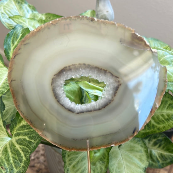 7/12 Natural Large Agate with large portal Plant Crystal