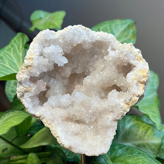 8/10 Moroccan Geode Plant Crystal