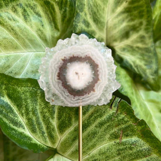 Flower Amethyst Plant Crystal