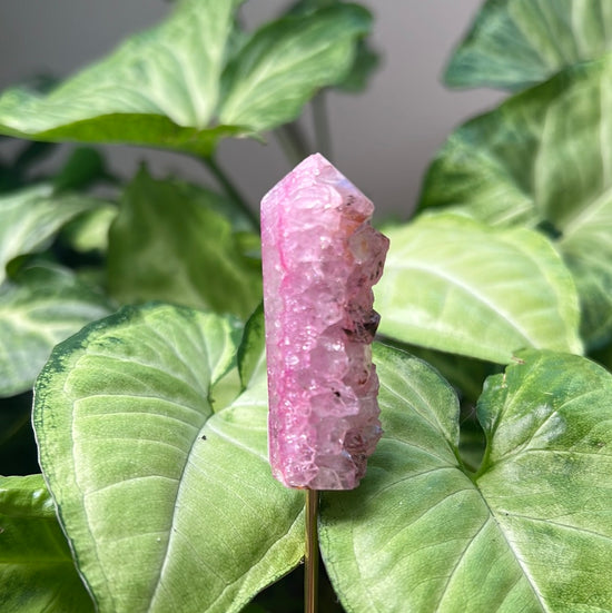 7/30 Pink Agate Plant Crystal