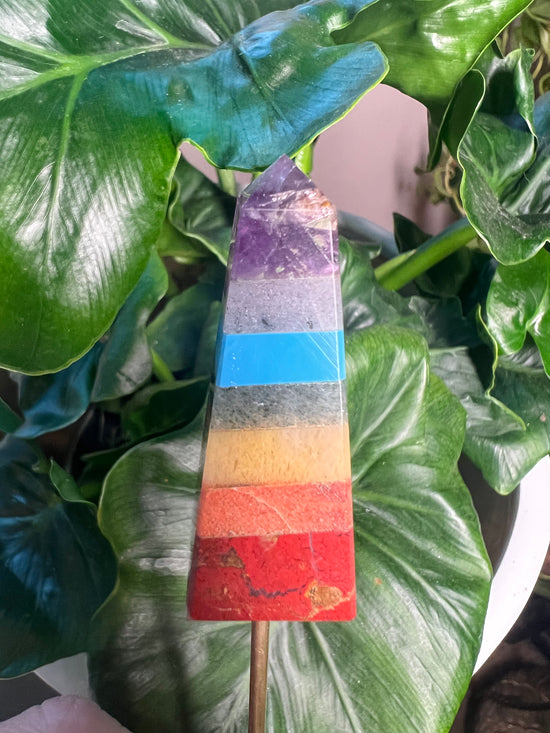 7/9 Chakra Obelisk Plant Crystal