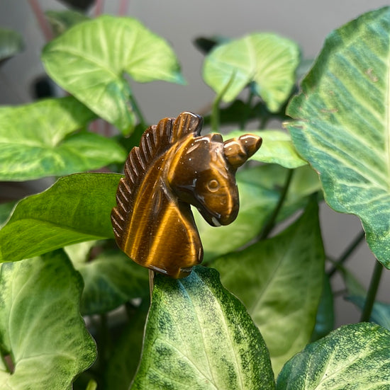 Tigers Eye Unicorn Plant Crystal