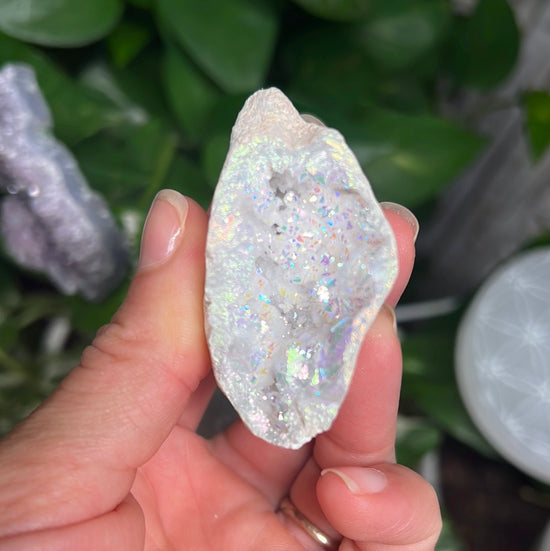 Angel Aura Geode Plant Crystal