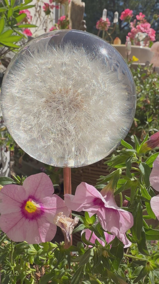 Dandelion Plant Crystal